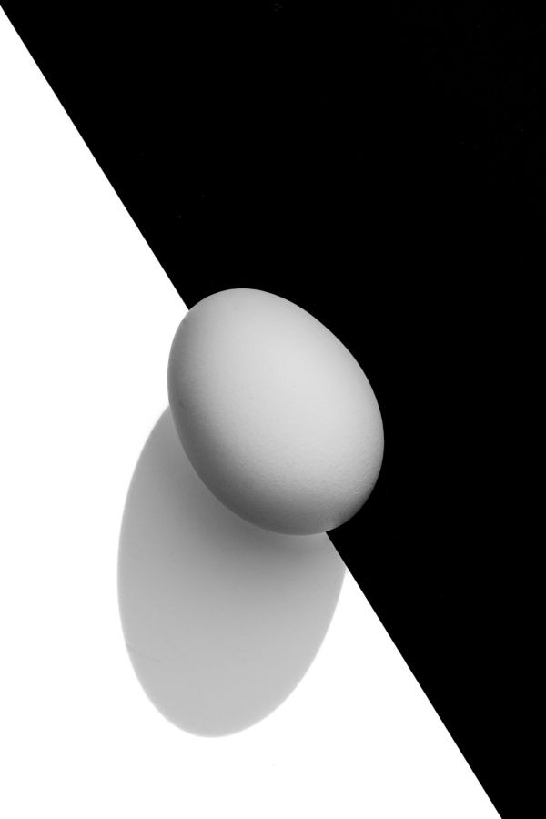 1er Contraste - N. PIQUET - M.I.C