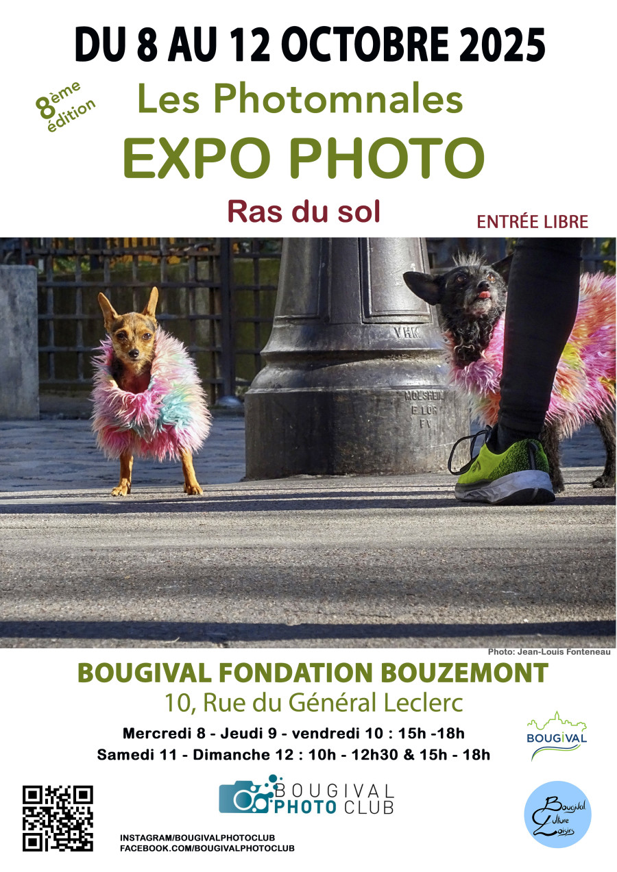 Exposition à Bougival